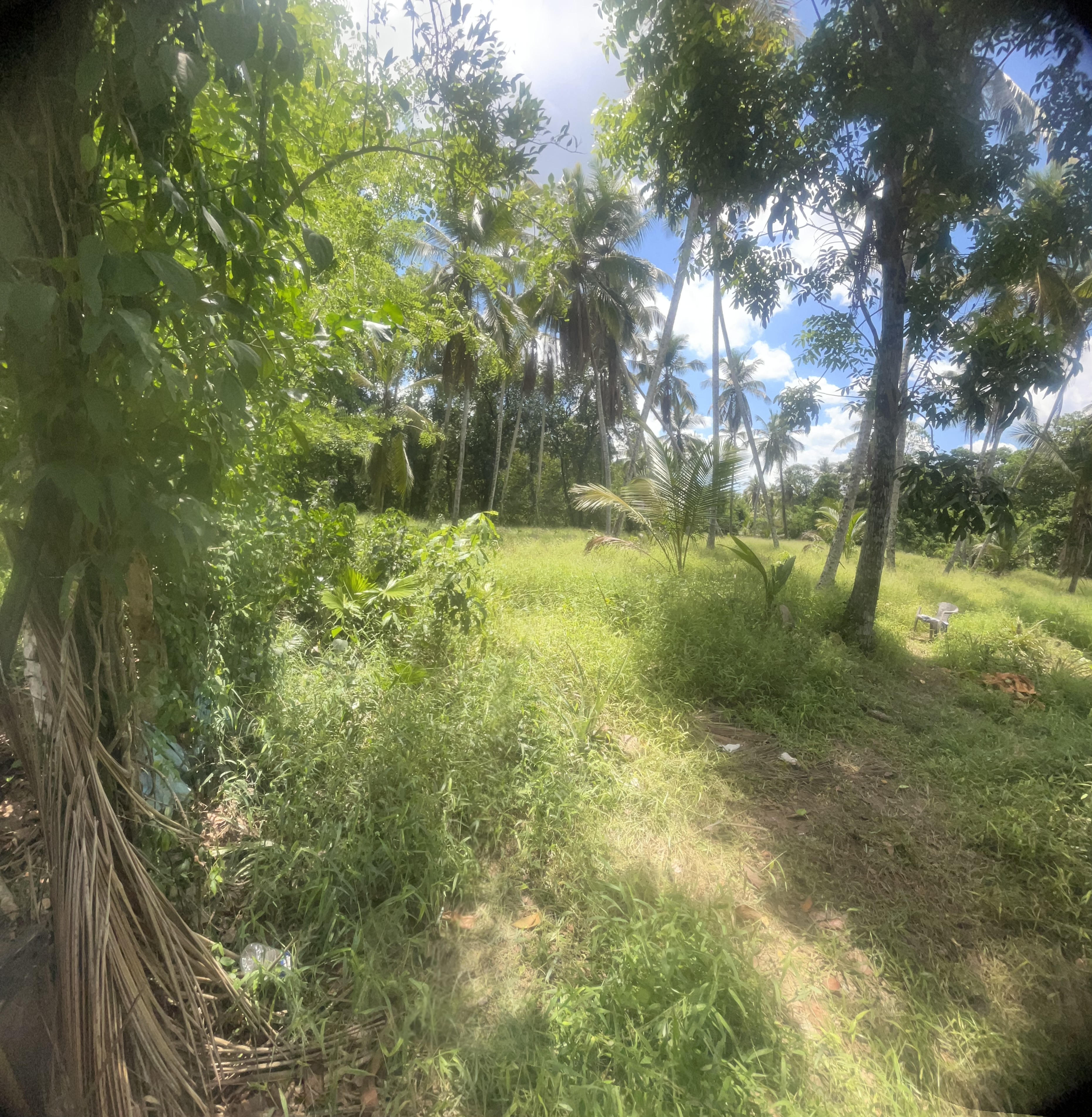 Residential Land for Sale in Gampaha