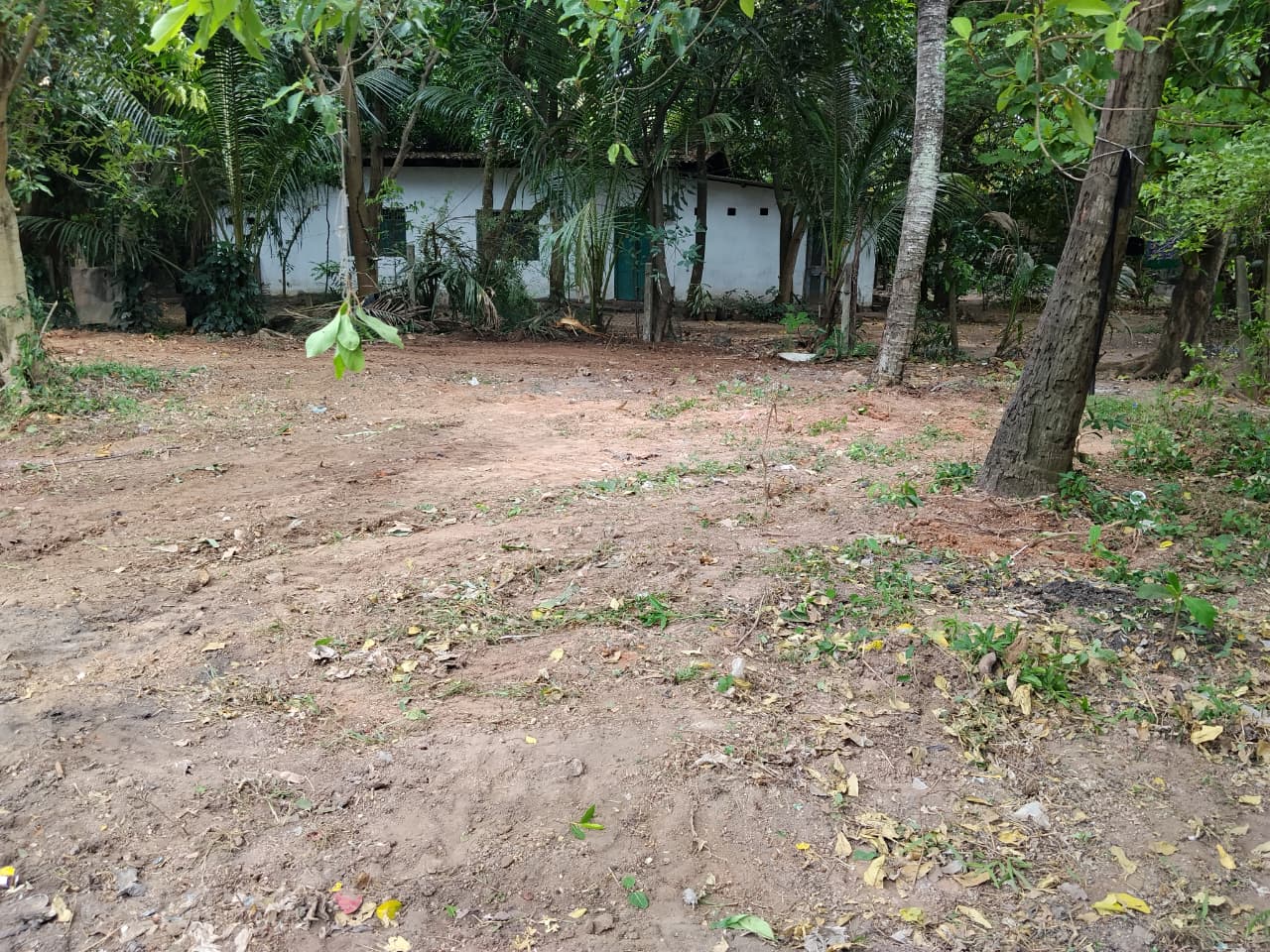 Commercial Land for Sale in Peliyagoda
