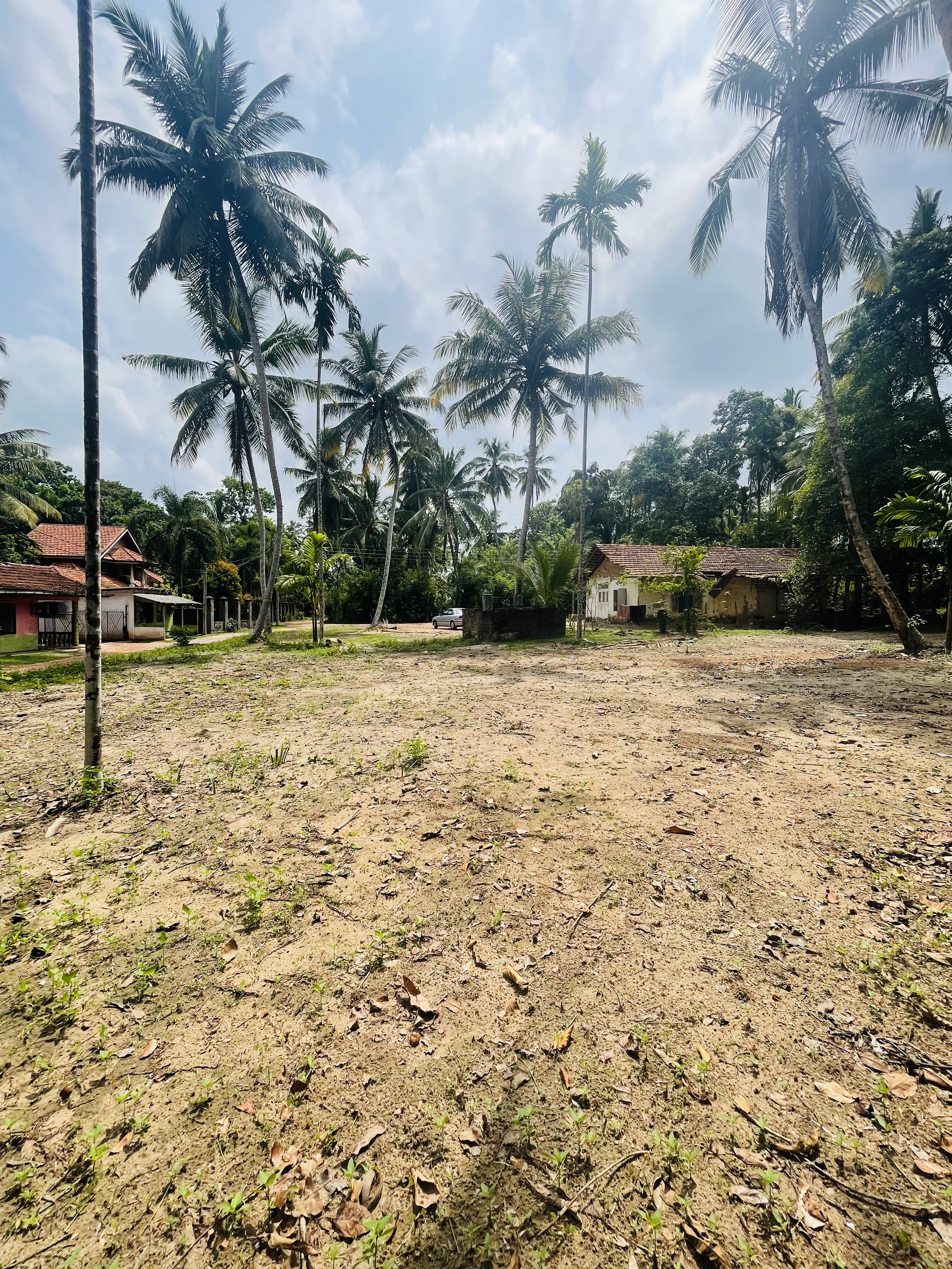 Commercial Land for Sale in Negombo