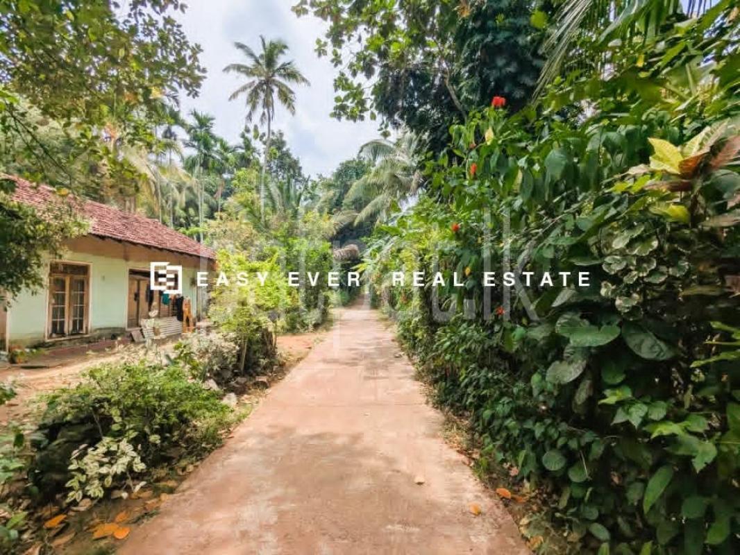 Residential Land for Sale in Mirigama