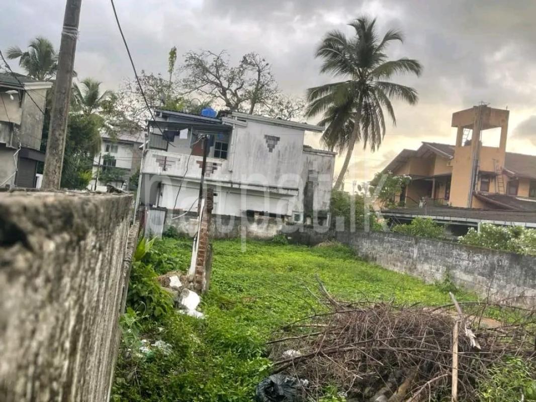 Advertisement image 3