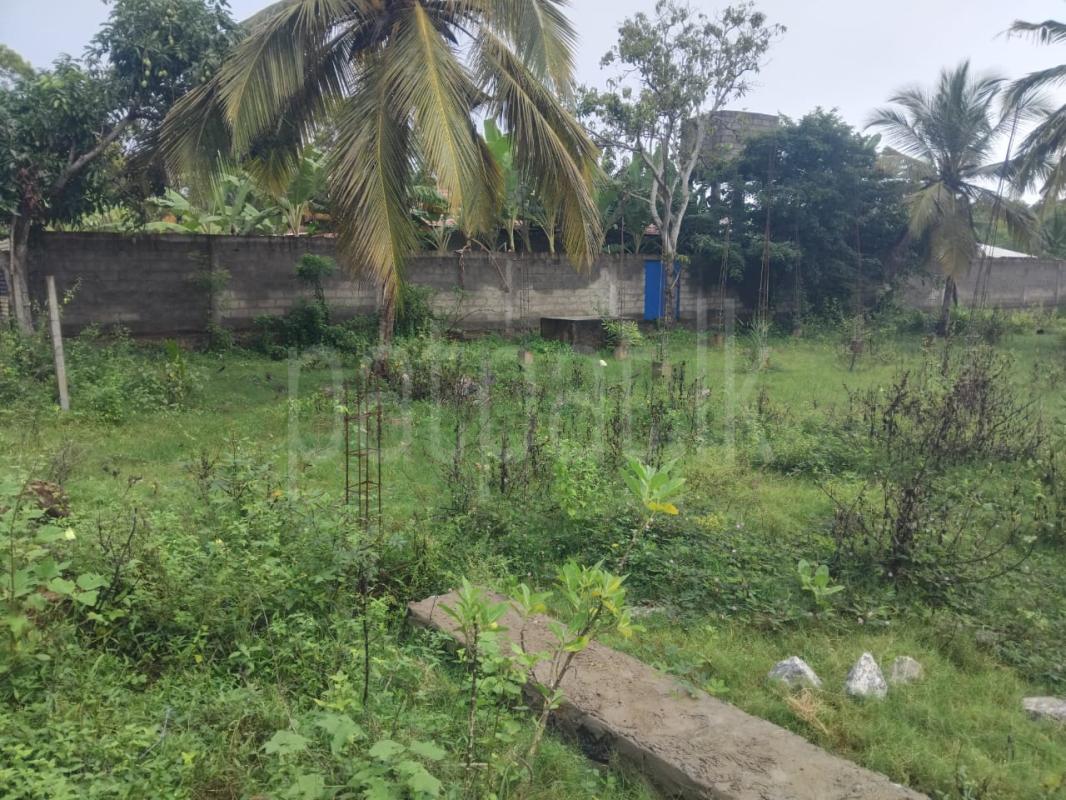 Commercial Land for Sale in Embilipitiya