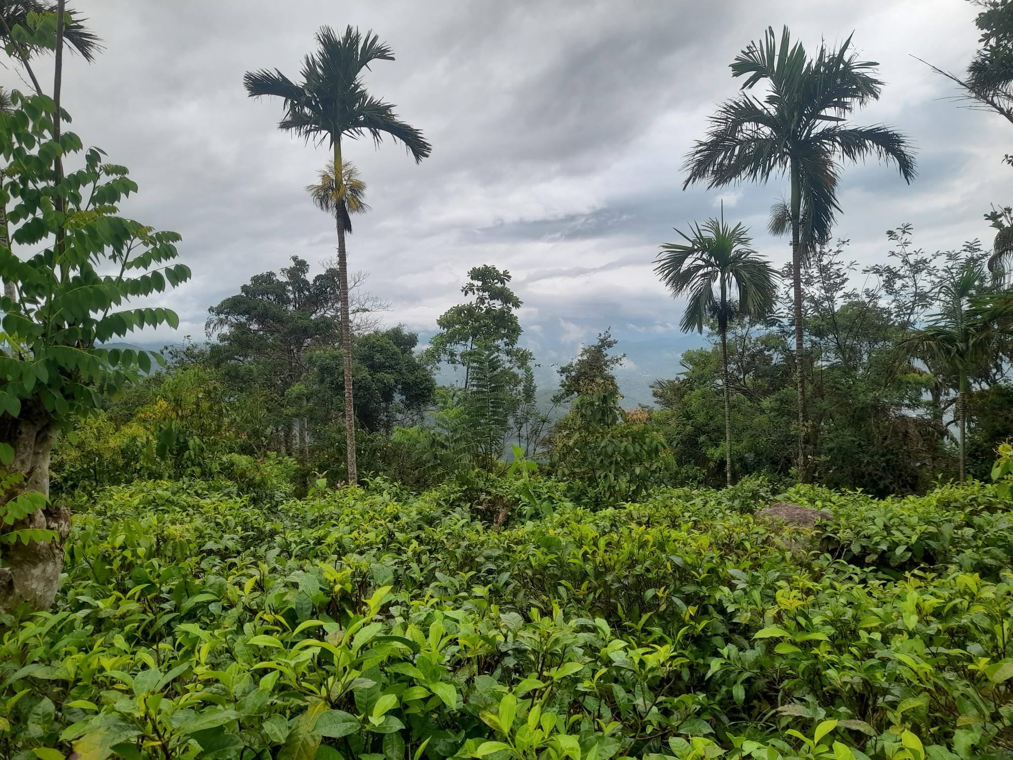 House for Sale in Ampitiya