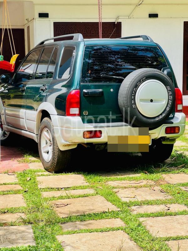 Advertisement image 3