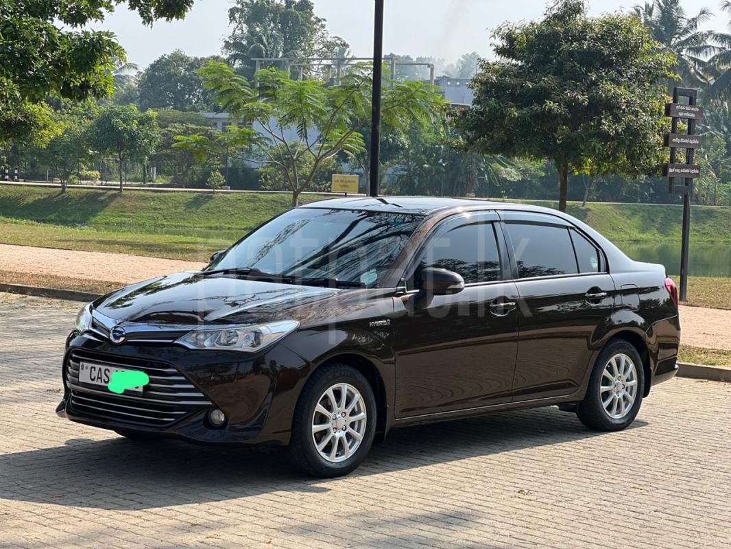 Advertisement image 2