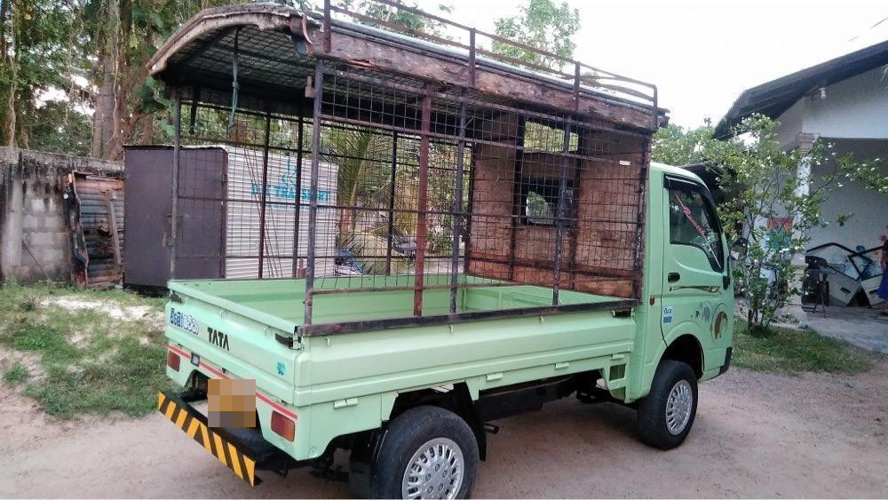 Tata Ace 2010 - Used Truck sale in Sri Lanka - patpat.lk