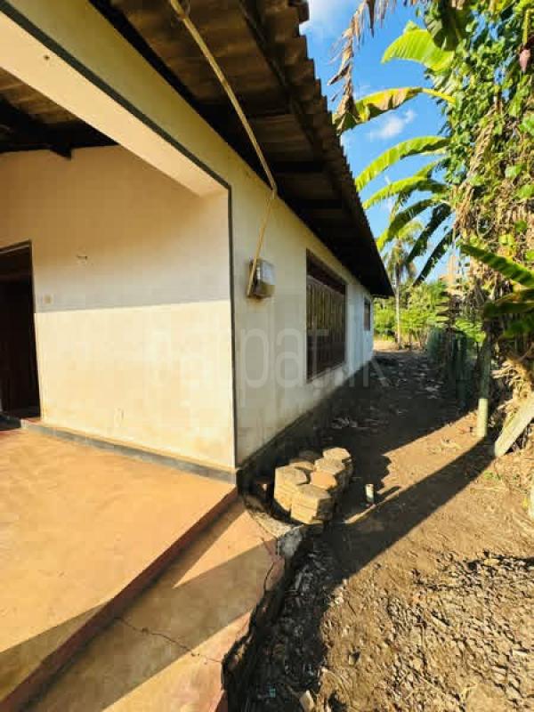 House for Sale in Alawwa ads-image-1