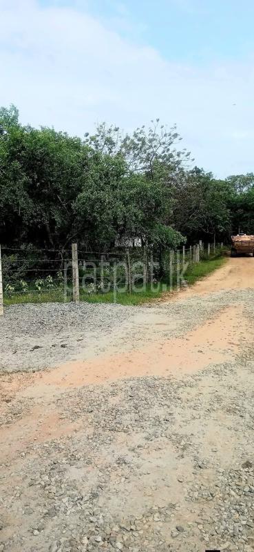 Residential Land for Sale in Kataragama