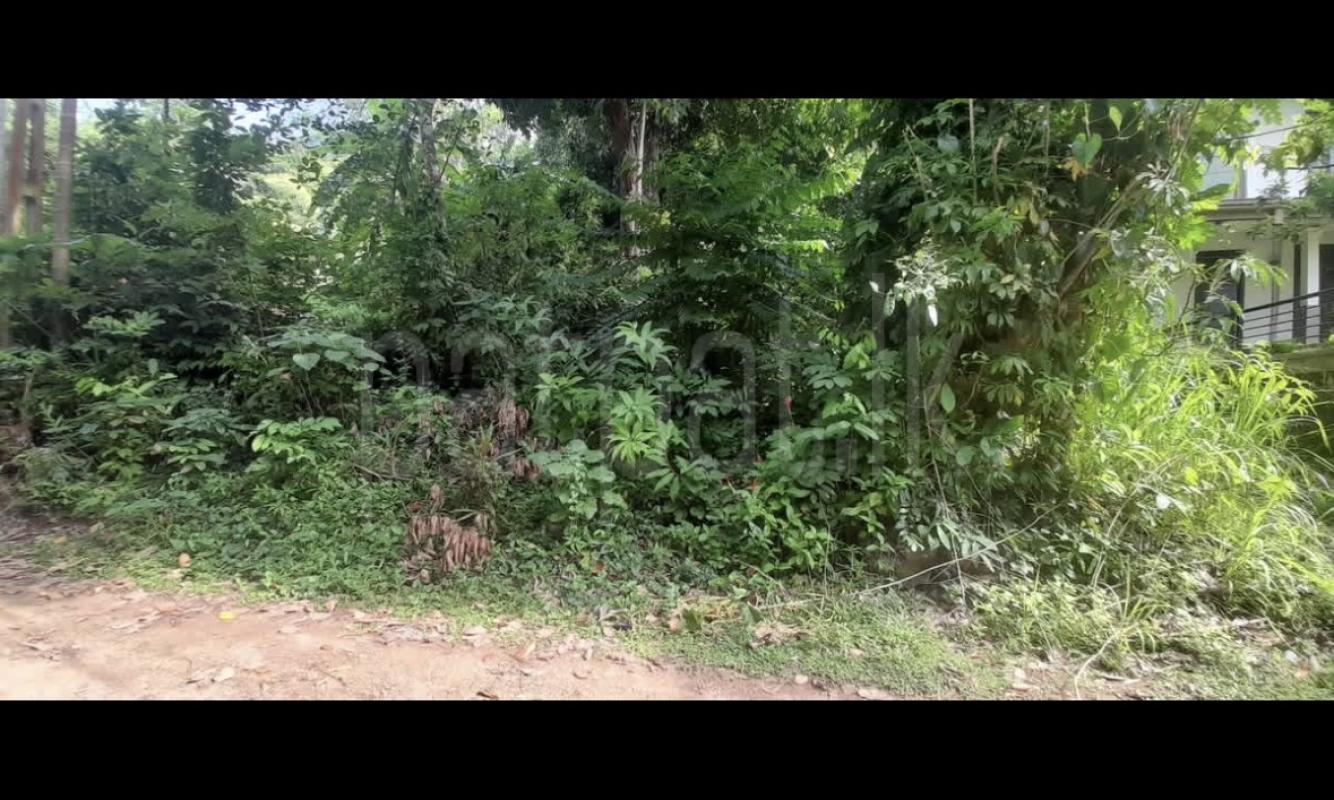 Agricultural Land for Sale in Wanchawela