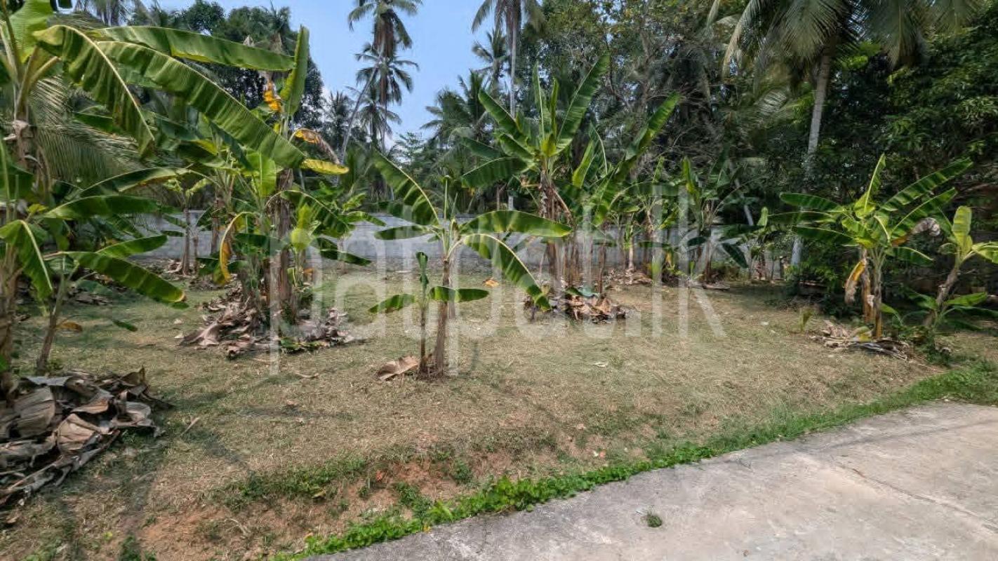 Residential Land for Sale in Yakkala