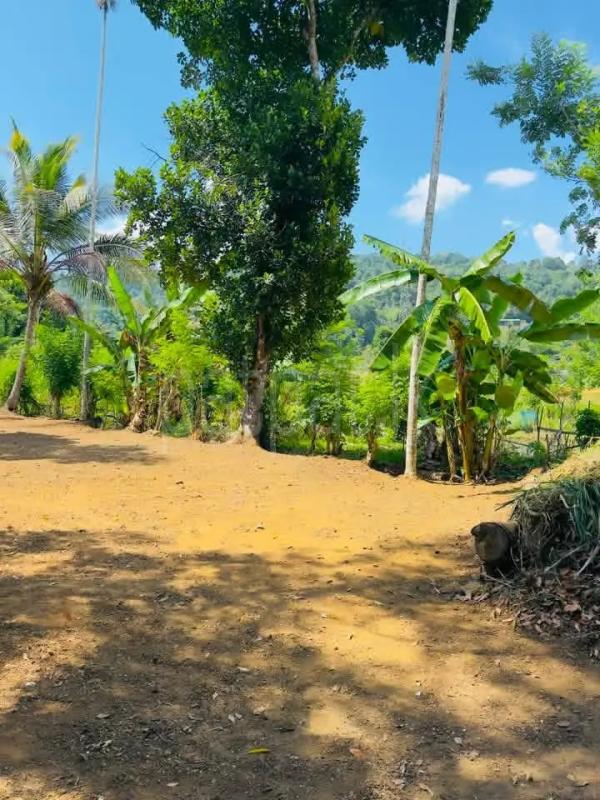 Residential Land for Sale in Badulla
