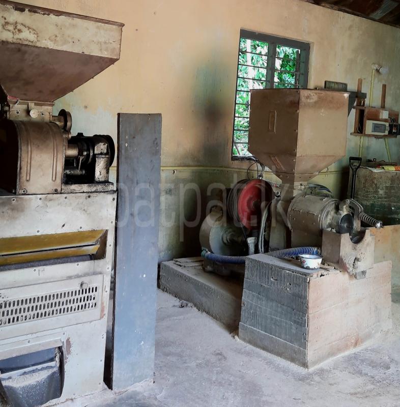 Rice Mill Machines ads-image-1