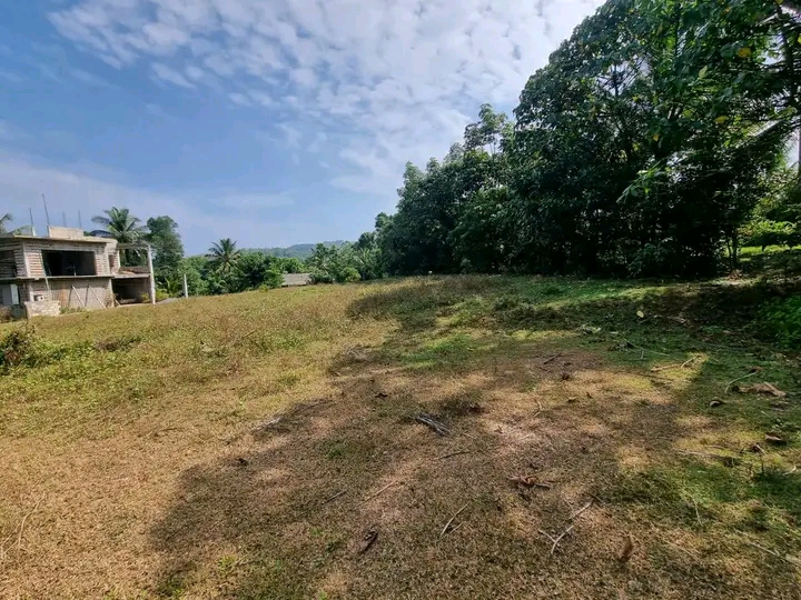 Commercial Land for Sale in Nittambuwa