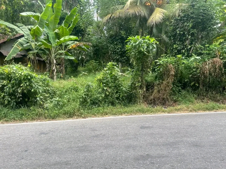 Commercial Land for Sale in Homagama