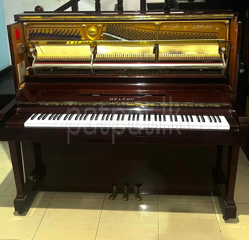 Advertisement image 3