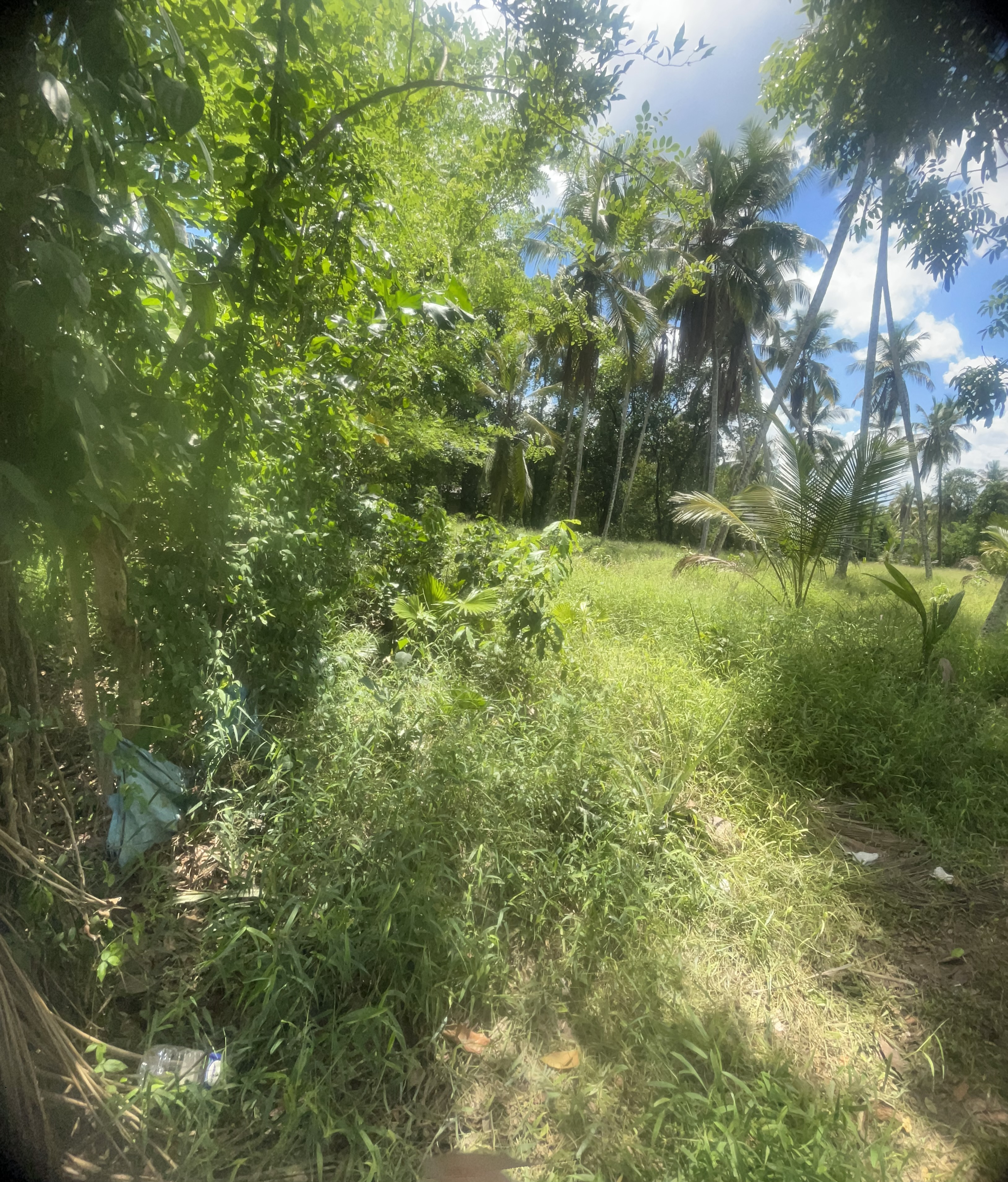 Residential Land for Sale in Gampaha