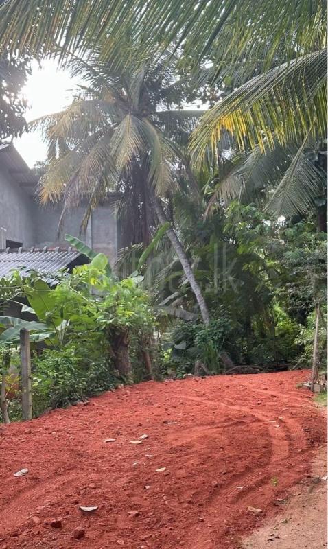 Commercial Land for Sale in Anuradhapura ads-image-1