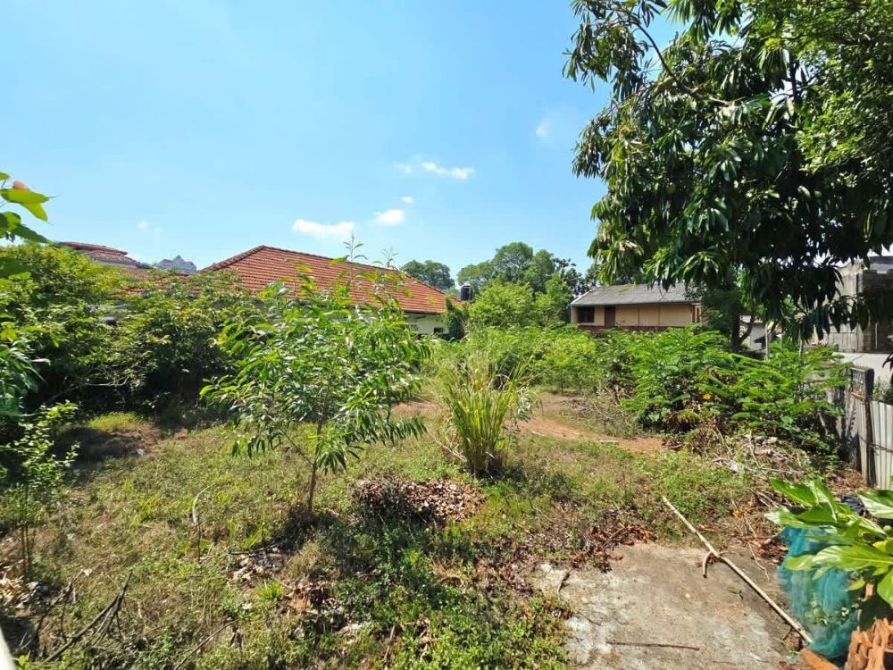 Commercial Land for Sale in Nawala