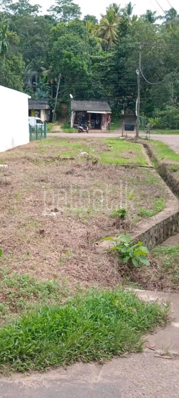 Residential Land for Sale in Wattala