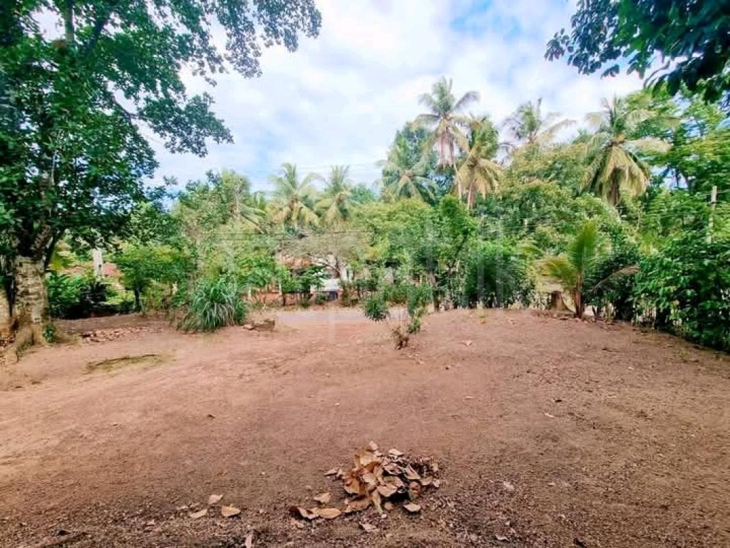 Commercial Land for Sale in Yakkala