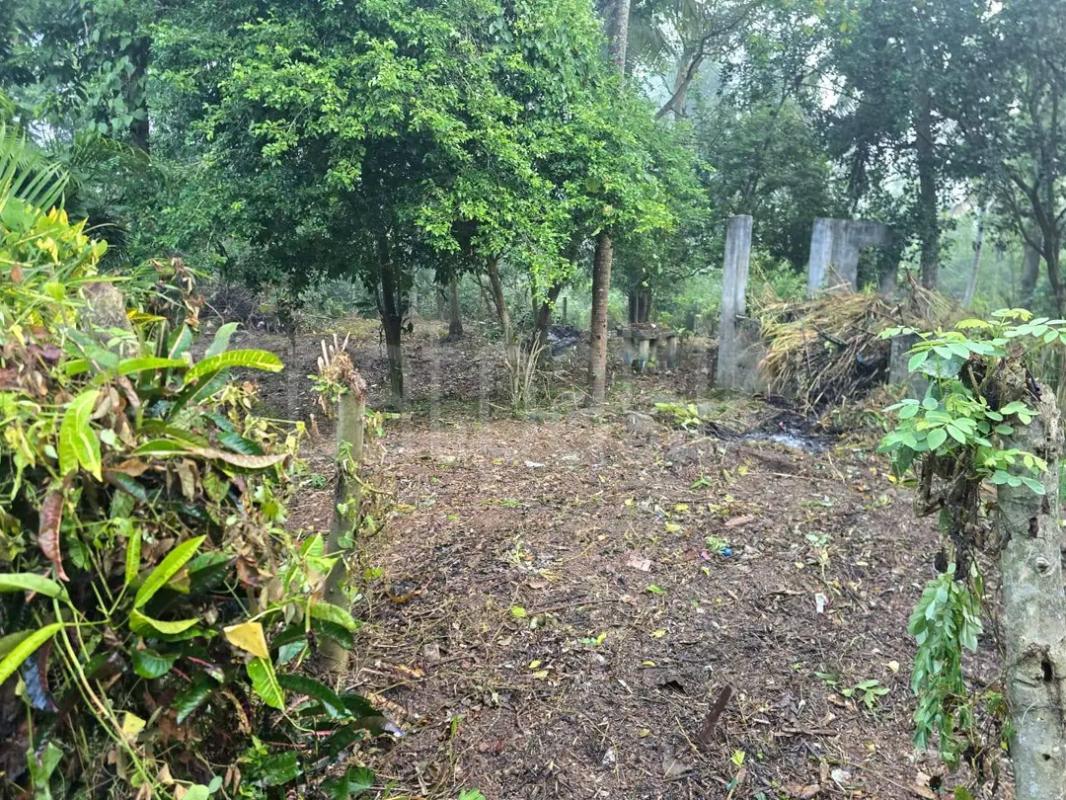 Residential Land for Sale in Ja-Ela