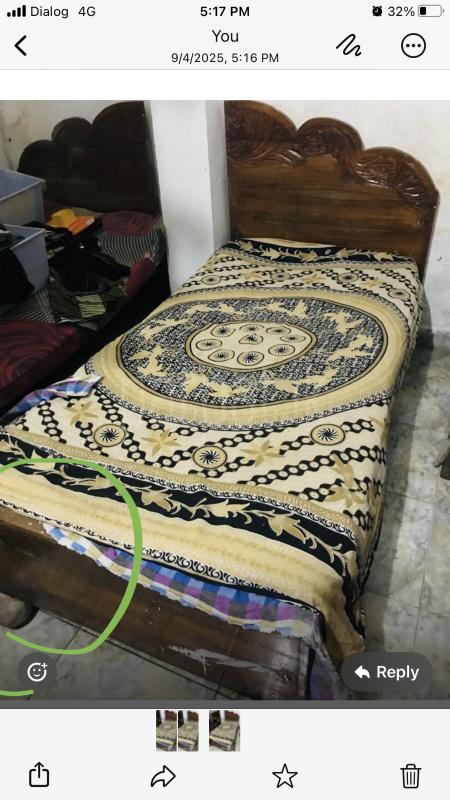 Bed