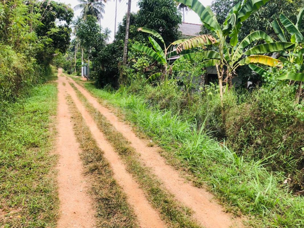 Residential Land for Sale in Mawathagama