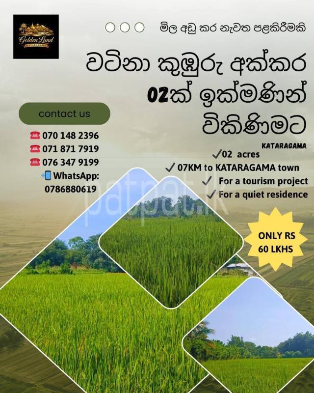 Agricultural Land for Sale in Sella Kataragama