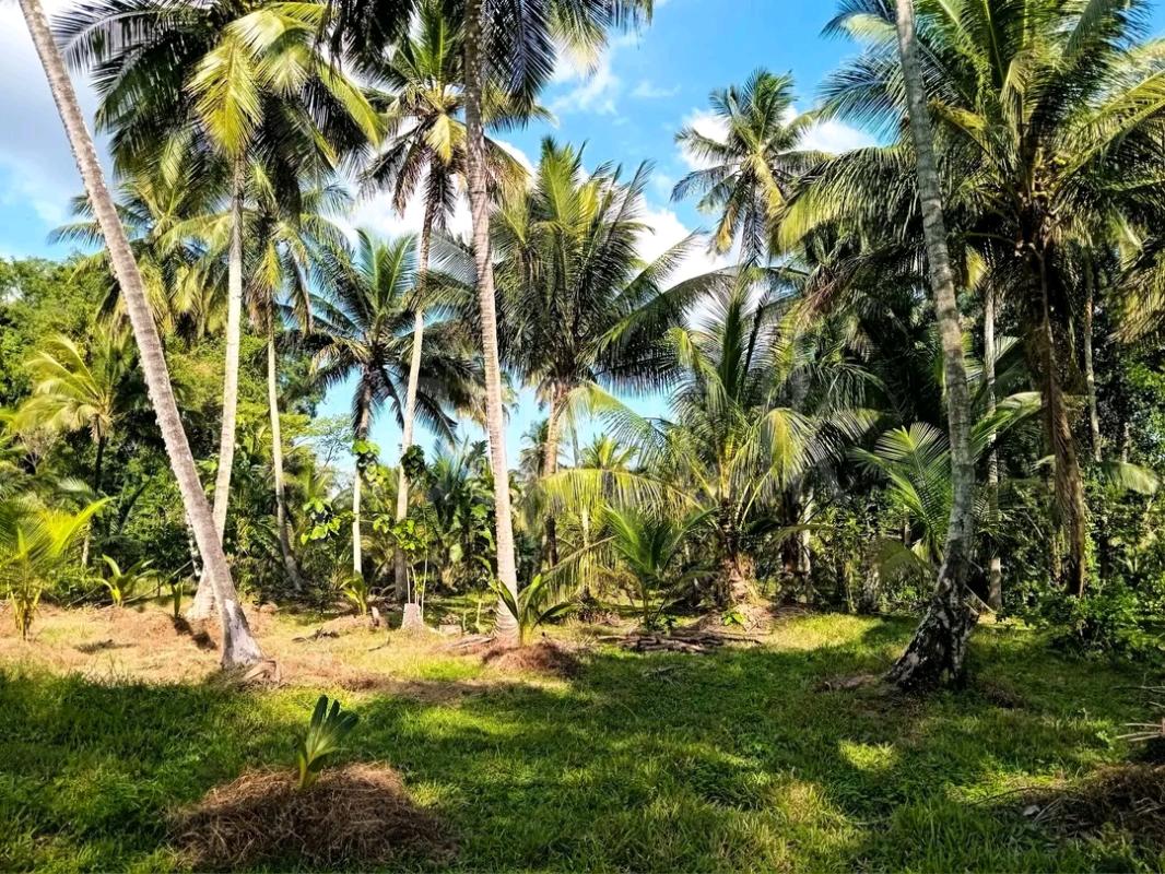 House for Sale in Wariyapola ads-image-1