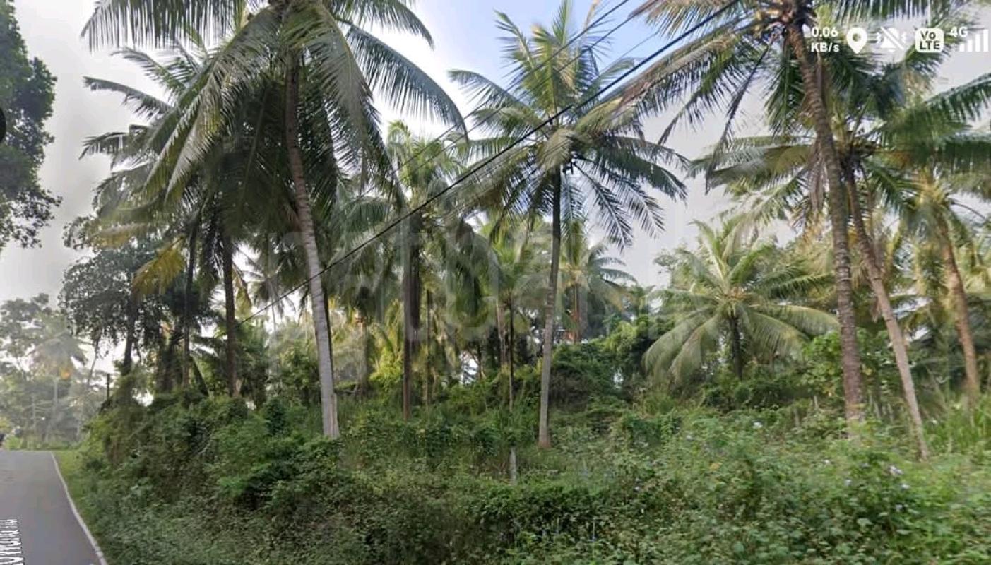 Agricultural Land for Sale in Panadura ads-image-1