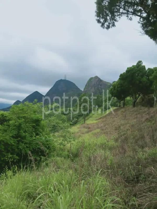 Commercial Land for Sale in Matale