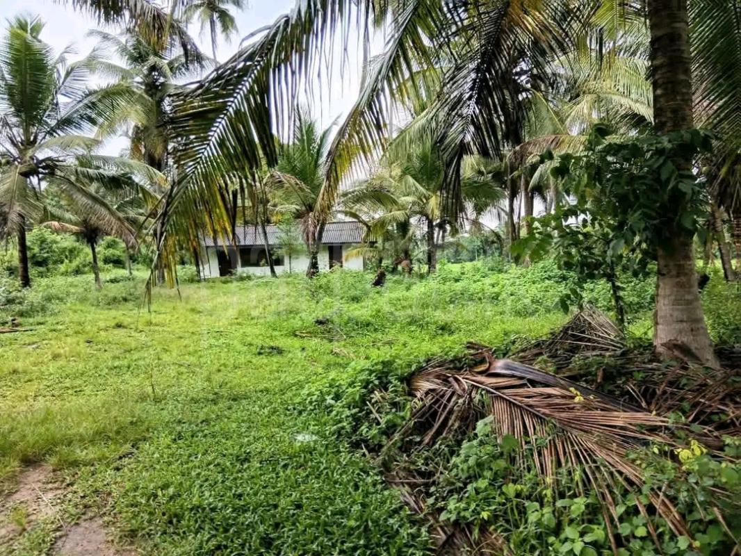 Agricultural Land for Sale in Mawathagama