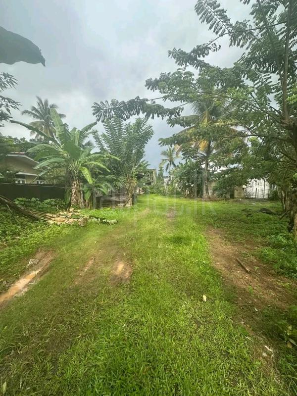 Residential Land for Sale in Maho