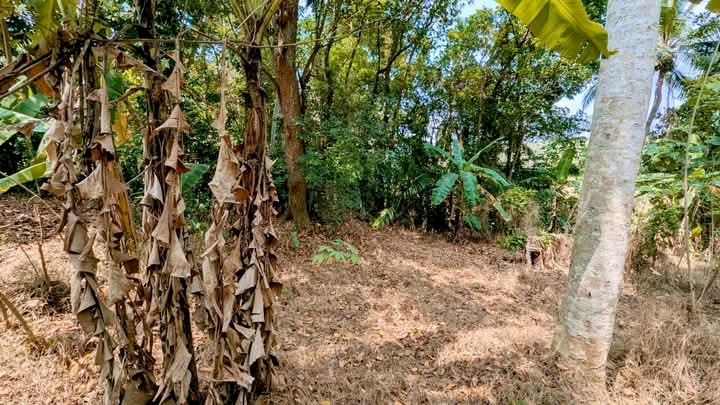 Commercial Land for Sale in Nittambuwa