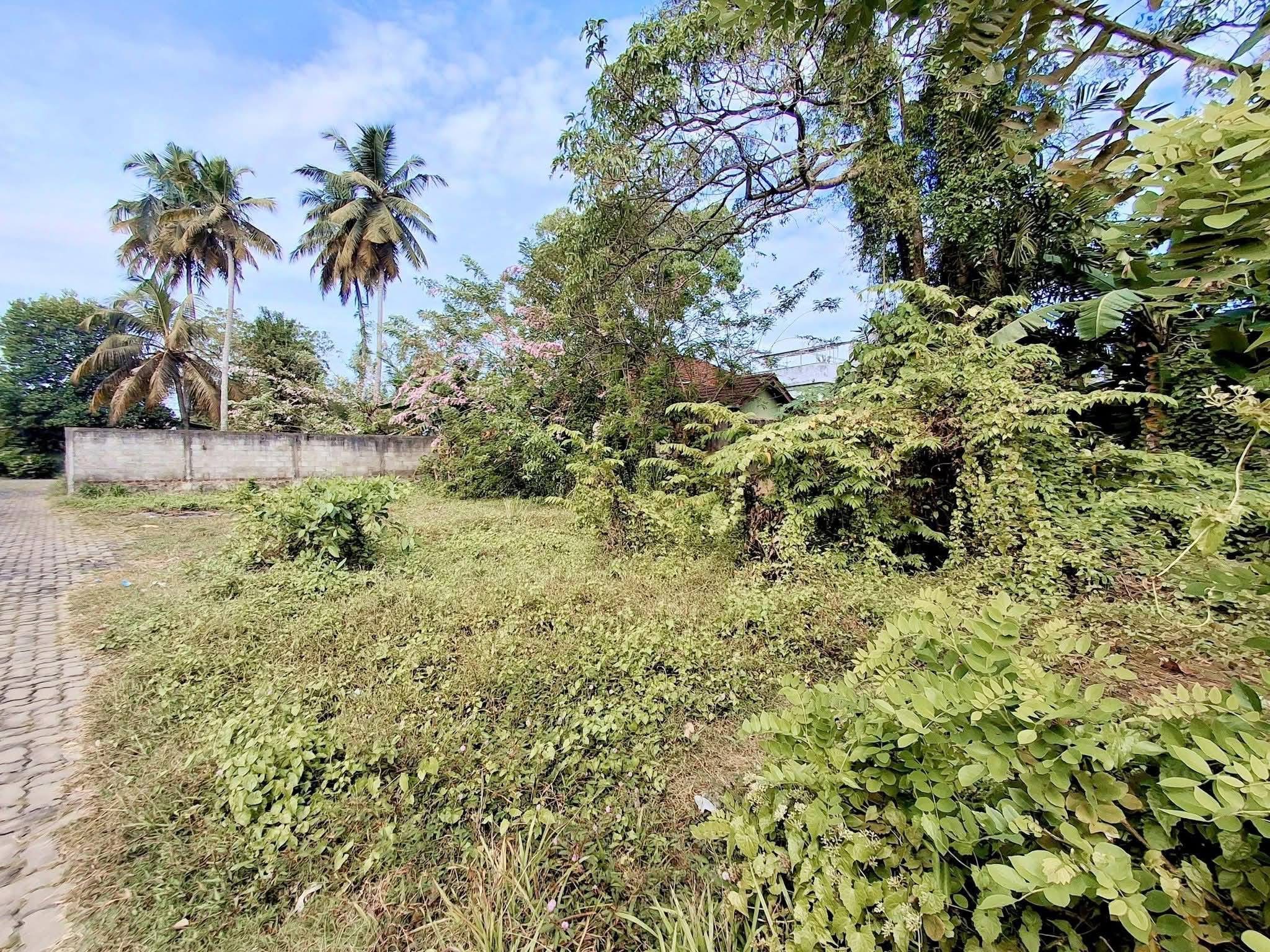 Agricultural Land for Sale in Panadura