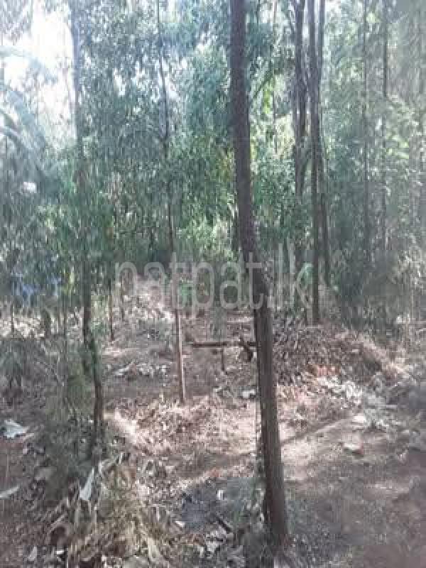 Residential Land for Sale in Dambulla
