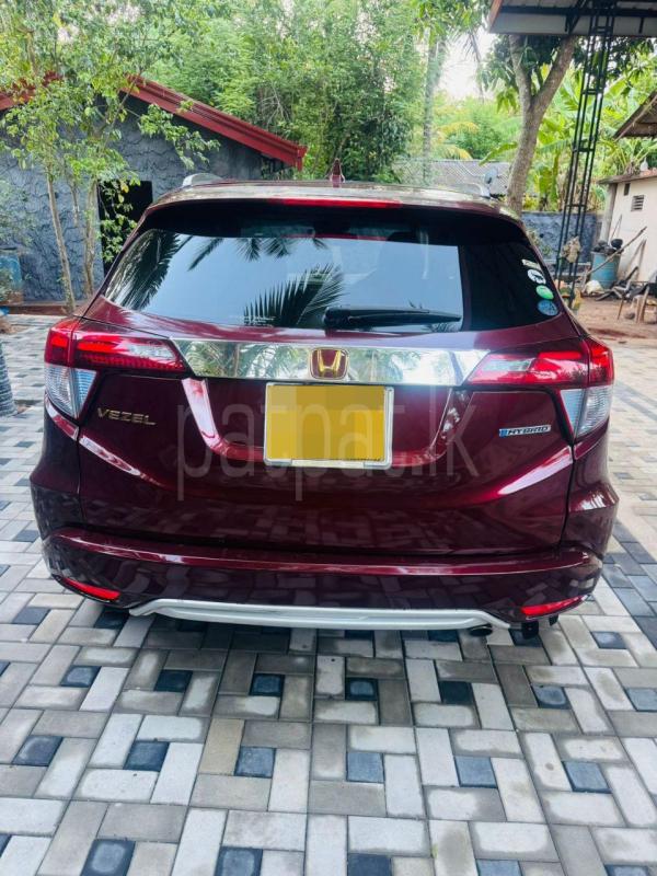 Advertisement image 3