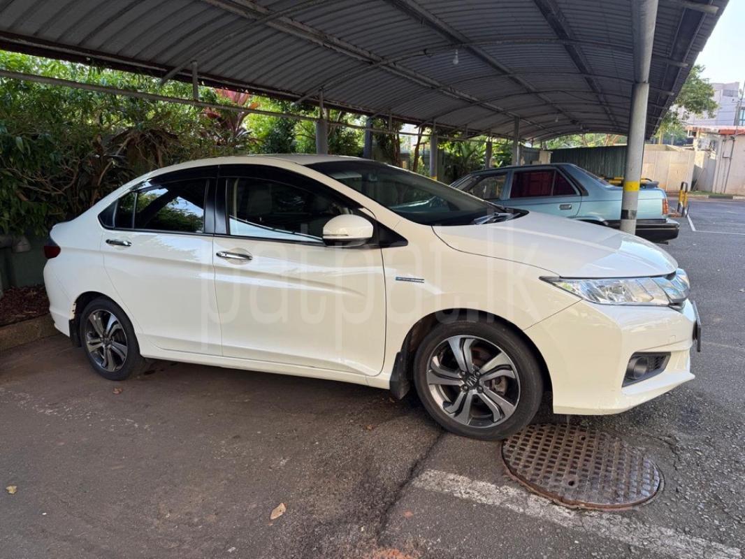 Advertisement image 2