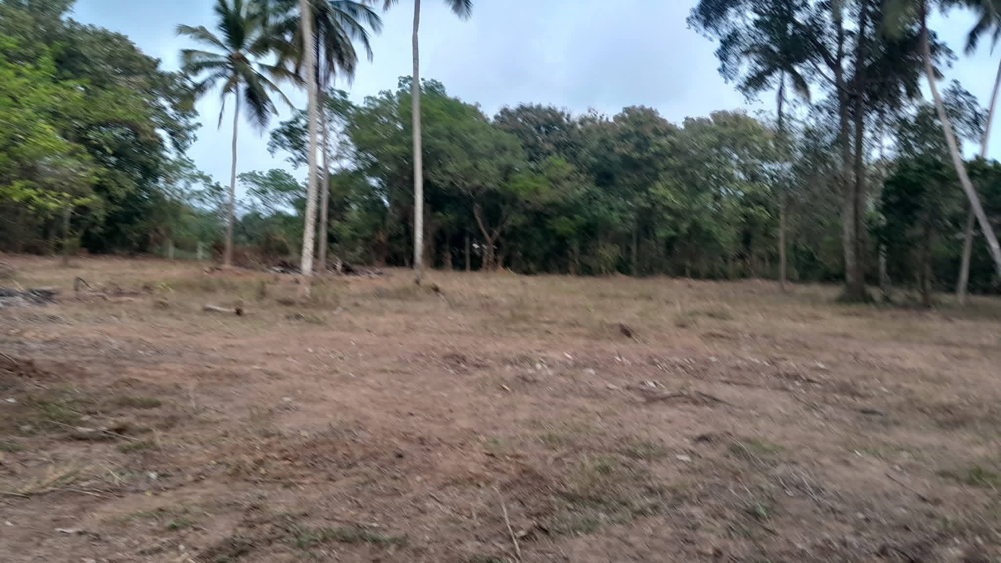 Residential Land for Sale in Tangalla