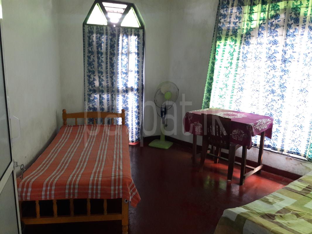 Room for Rent in Rajagiriya