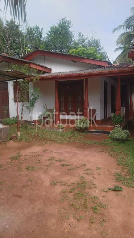 premium-listing-image