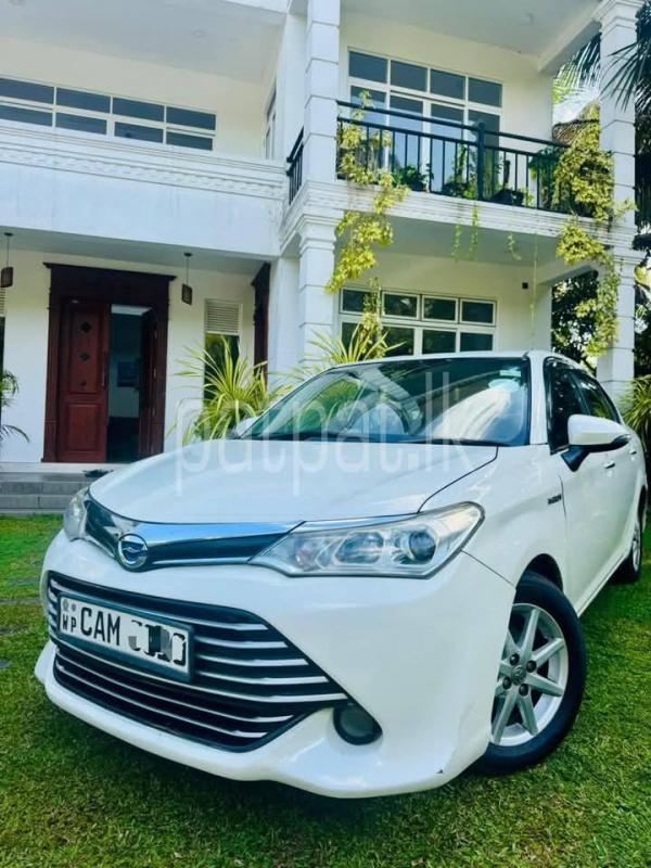 Advertisement image 4