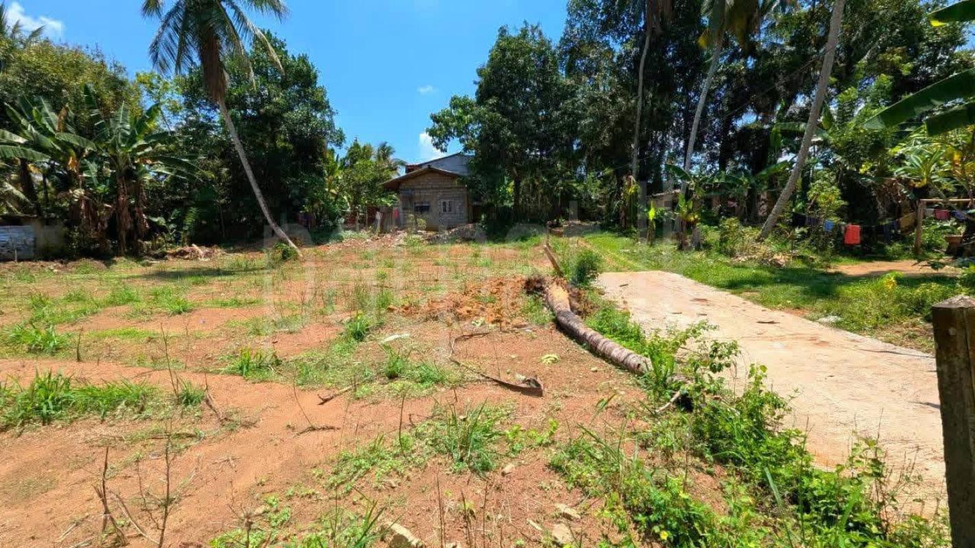 Residential Land for Sale in Yakkala ads-image-1