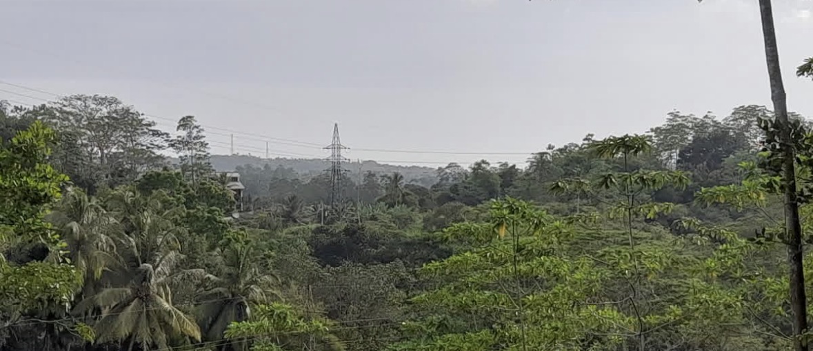 Agricultural Land for Sale in Unawatuna