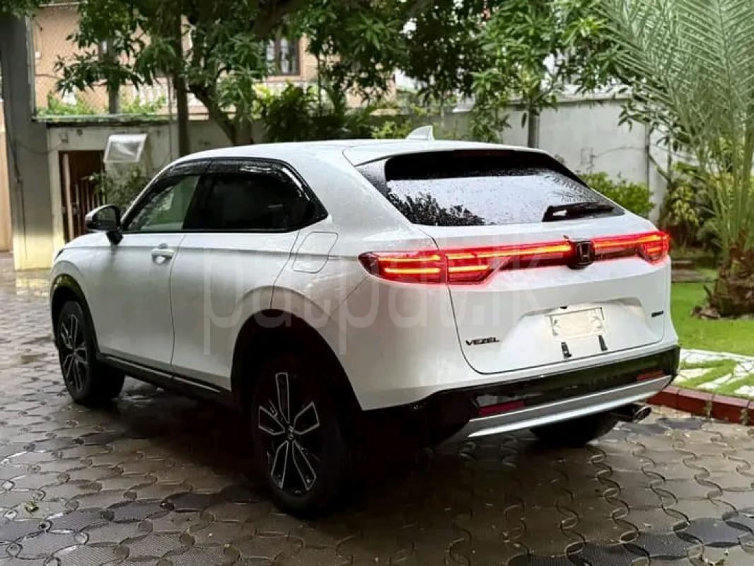 Advertisement image 5