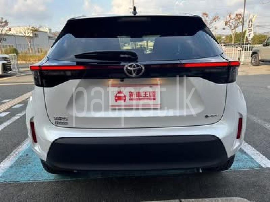 Advertisement image 2