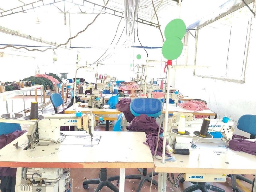 Advertisement image 6