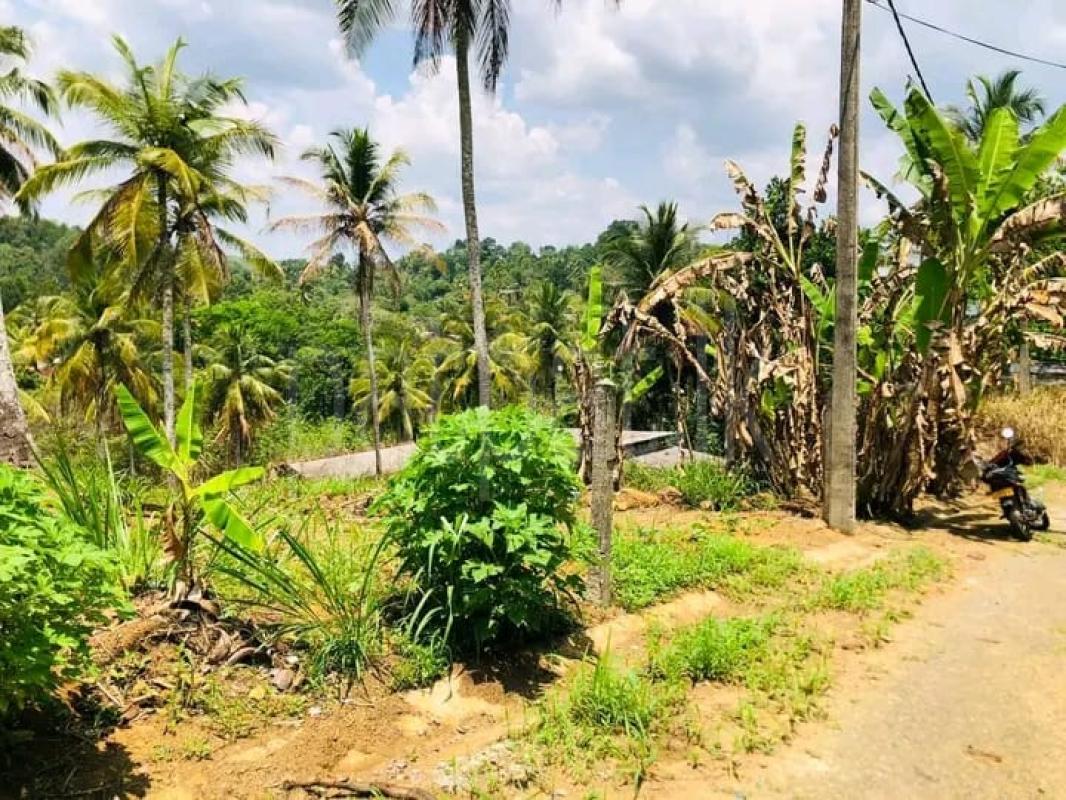 Commercial Land for Sale in Nittambuwa ads-image-1