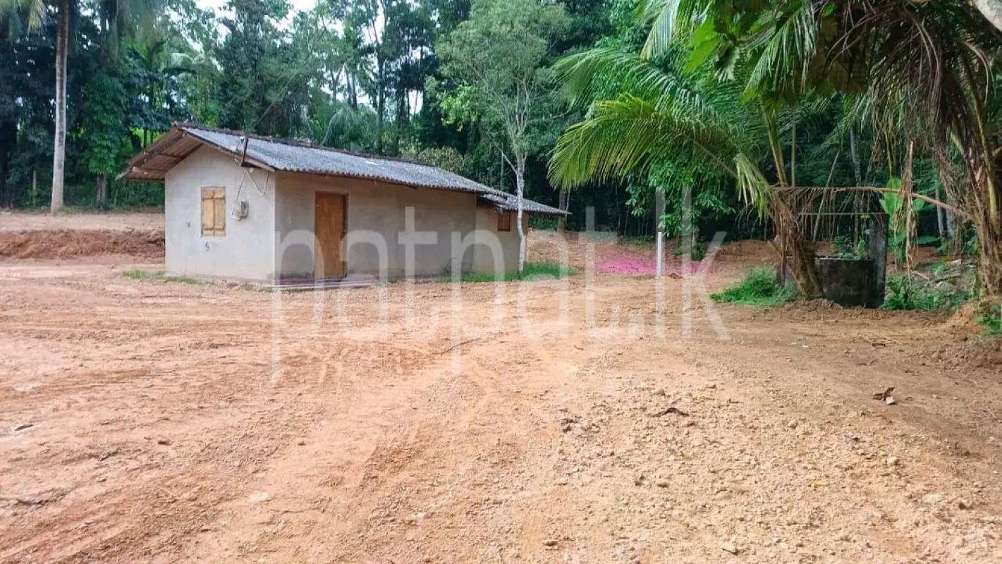 Residential Land for Sale in Ridigama