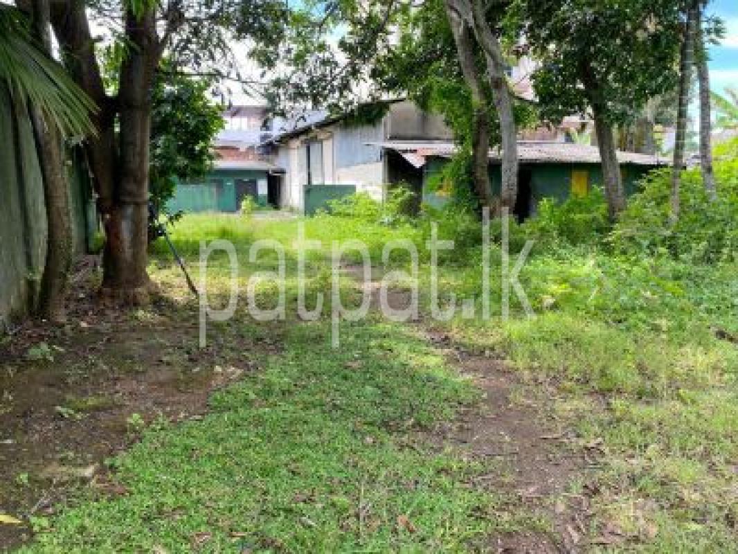 Advertisement image 1